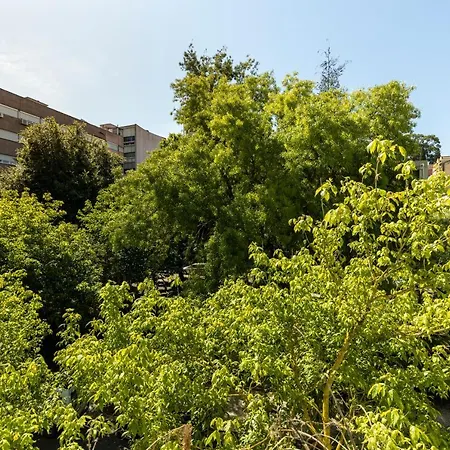 Comfy 3 Bedroom Campo De Ourique Apartman