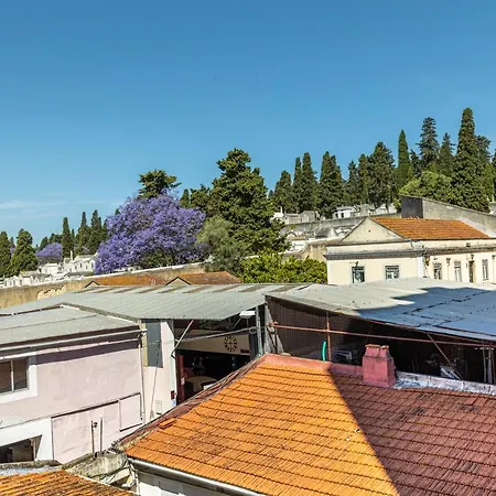 Appartamento Comfy 3 Bedroom Campo De Ourique Lisbona