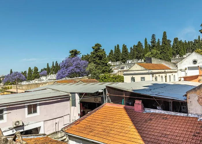 شقة Comfy 3 Bedroom Campo De Ourique Lisboa