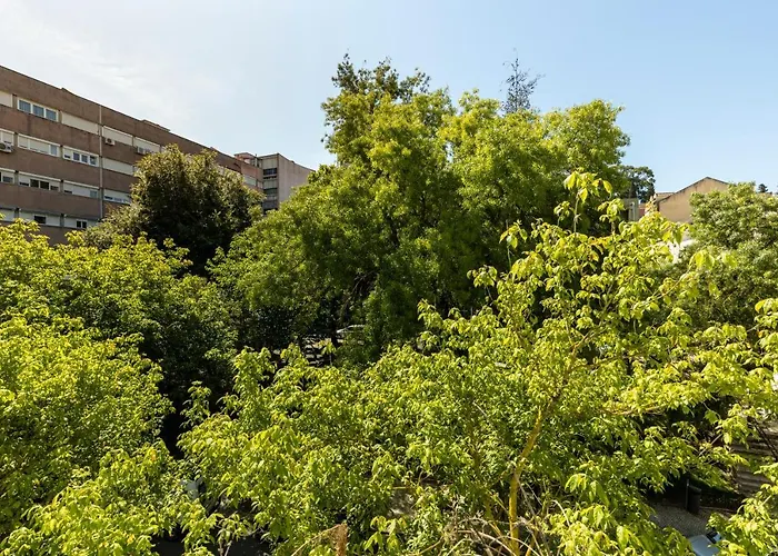 Comfy 3 Bedroom Campo De Ourique شقة